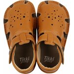 Tikki Aranya Sinappi