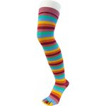 TOETOE Over-Knee Stripy Meadow