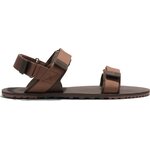 Xero Shoes D-Trail miesten Cocoa Brown / Java Brown (ruskea)