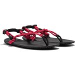 Xero Shoes Genesis - men Rojo
