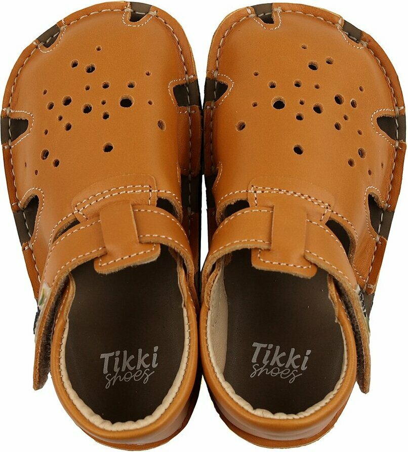 Tikki Aranya Muștar