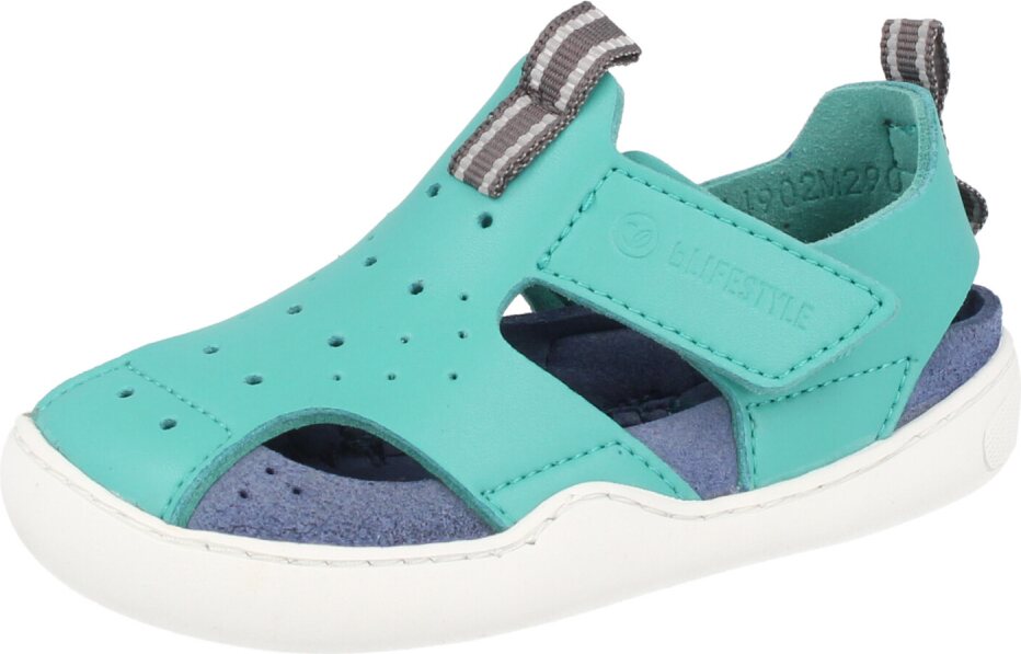 BLifestyle Gerenuk Petrol