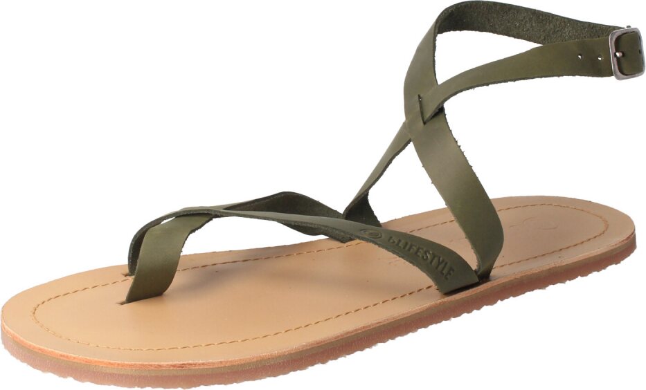 BLifestyle sunnySTYLE Оливки