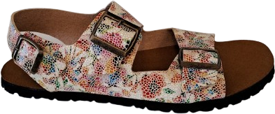 Bioworld Chad Transition Wildflower Mosaic