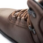 Freet Ibex (LIMITED AVAILABILITY)