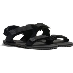 Xero Shoes D-Trail meeste