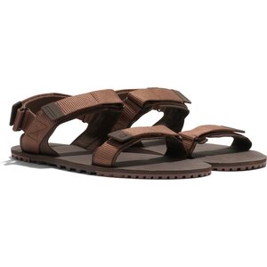 Xero Shoes D-Trail miesten