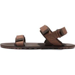 Xero Shoes D-Trail miesten