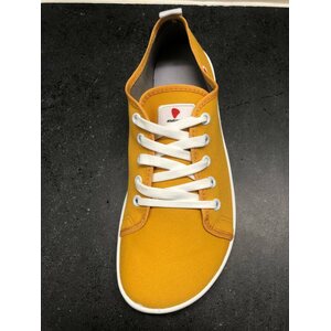 Anatomic Sneakers
