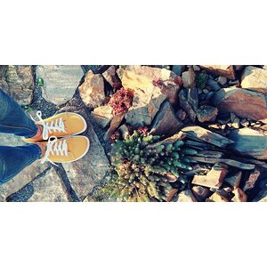 Anatomic Sneakers